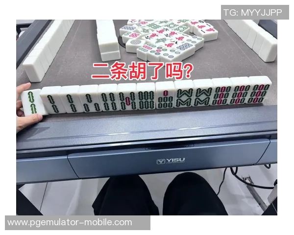 麻将胡了破解软件-麻将胡了破解软件,揭示与探讨-麻将胡了破解软件